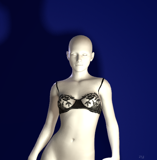KKND.see-through_bra.1-zy
